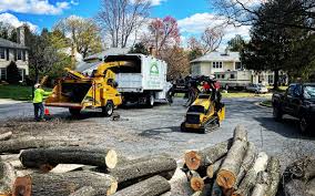 Professional Tree Removal and Landscaping Services in Clarkston, WA